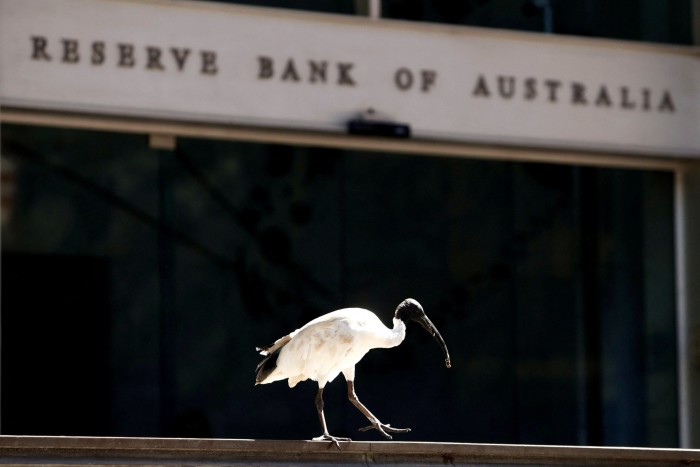 An ibis perches next to the Reserve Bank of Australia headquarters