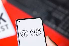 Cathie Wood'S Ark Investment Management Is Betting Big on Elon Musk's AI Project, Xai