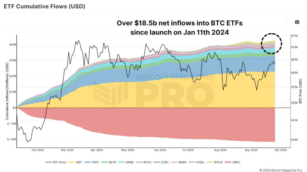 BTC Bitcoin